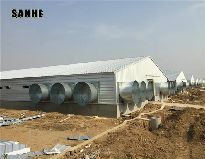 Automatic Broiler House Poultry Shed Design for chicken farm