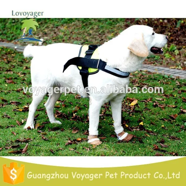 Новинка мягкий флуоресцентный легкая прогулка большой собак проводки