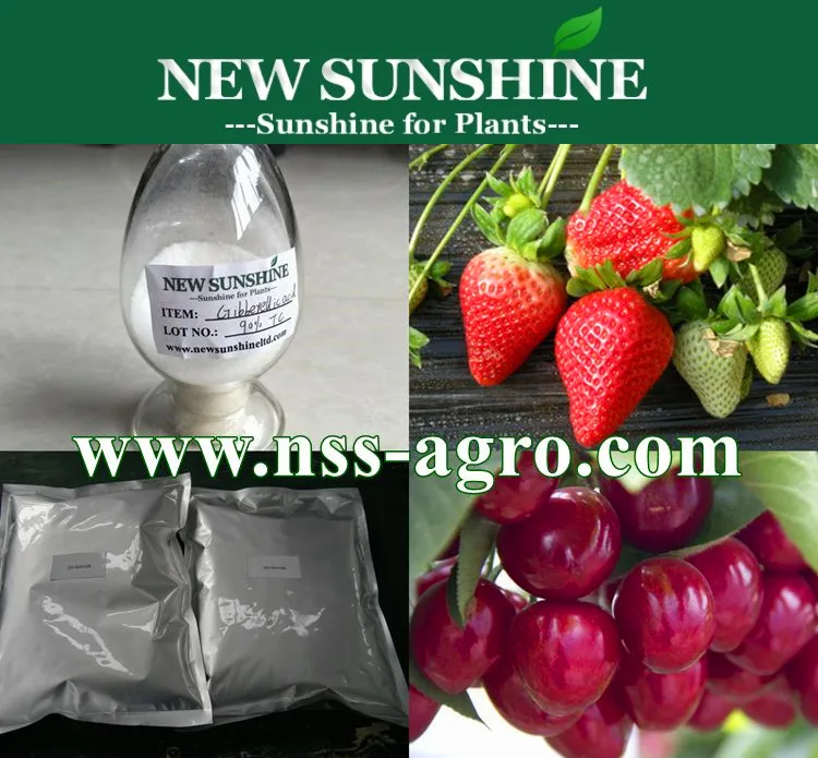 Gibberellic Acid / GA3 90%TC, 10% Tablet, 20% Tablet