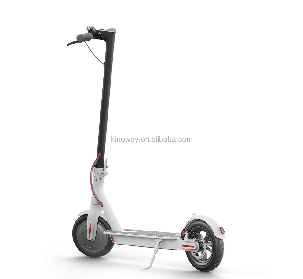Most Attractive New Electric Scooter 36V 350W High Power e Roller Scooter In Eu  Adults