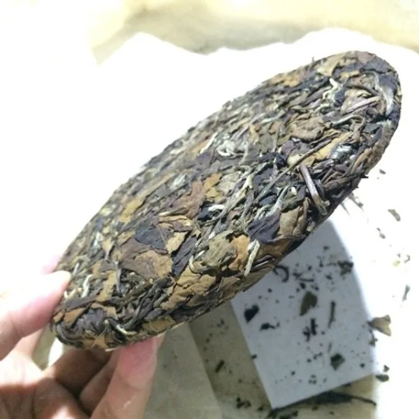 First Class High Mountain Organic Fuding Shoumei White Tea