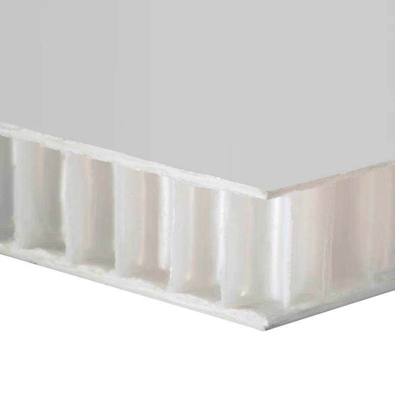 Australian standard FRP type top quality cheap workshop pp sides thin wall sandwich panel