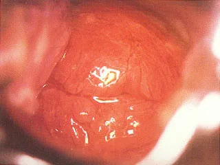 1394441865869_hz-fileserver-upload3_10996249