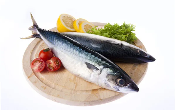 frozen pacific mackerel WR for market