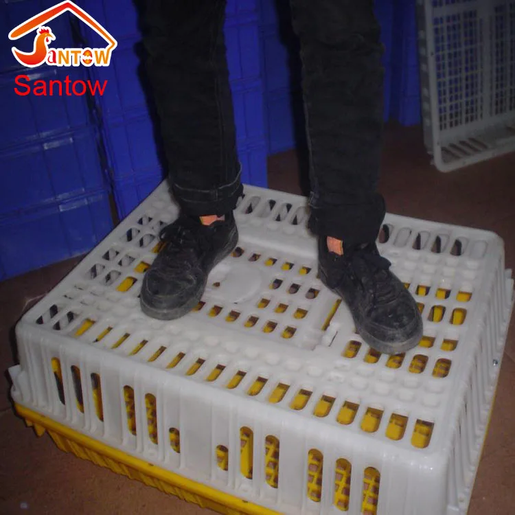 
Durable plastic chicken duck quail birds pigeon broiler poultry transportation cages for sale 