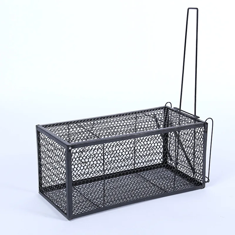 Collapsible One-door Live Animal Cage Trap For Raccoon Stray Cat Groundhog Opossum Armadillos
