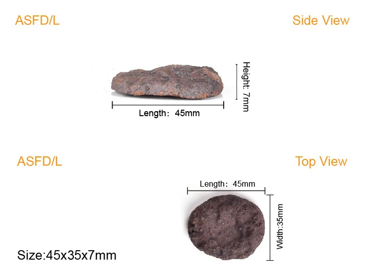 ASFD/L - AS Fraggie Holic коралловый фракционный диск керамическая основа коралловый риф фракционная пробка