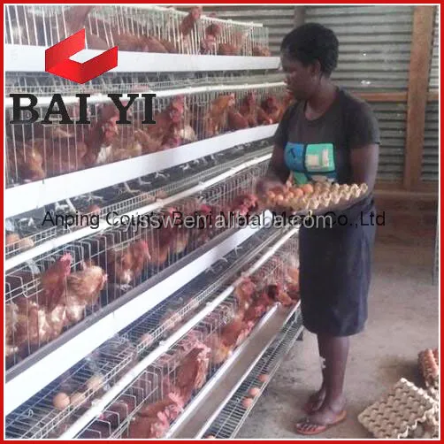 Agricultural Equipment Design Layer Chicken Cages,bird Laying Hens Cheap Chicken Coops, Poultry Chicken Cage for Sal