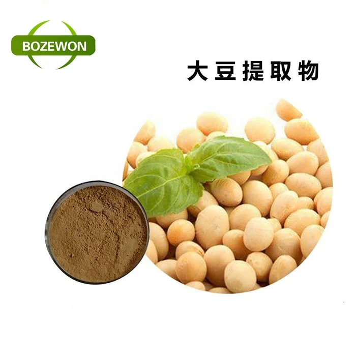 Organic Instant Soy Milk Powder/Soya Bean Powder