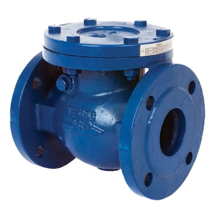 DN50-DN600mm material EN-GJL-250 BS F6 check valve