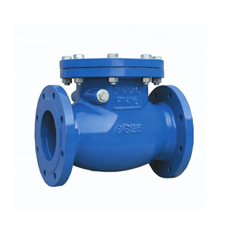 DN50-DN600mm material EN-GJL-250 BS F6 check valve