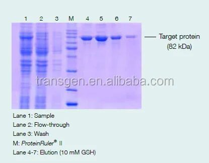 ProteinIso GST Resin