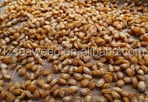 Dried Sea Abalone Seafood Factory Price