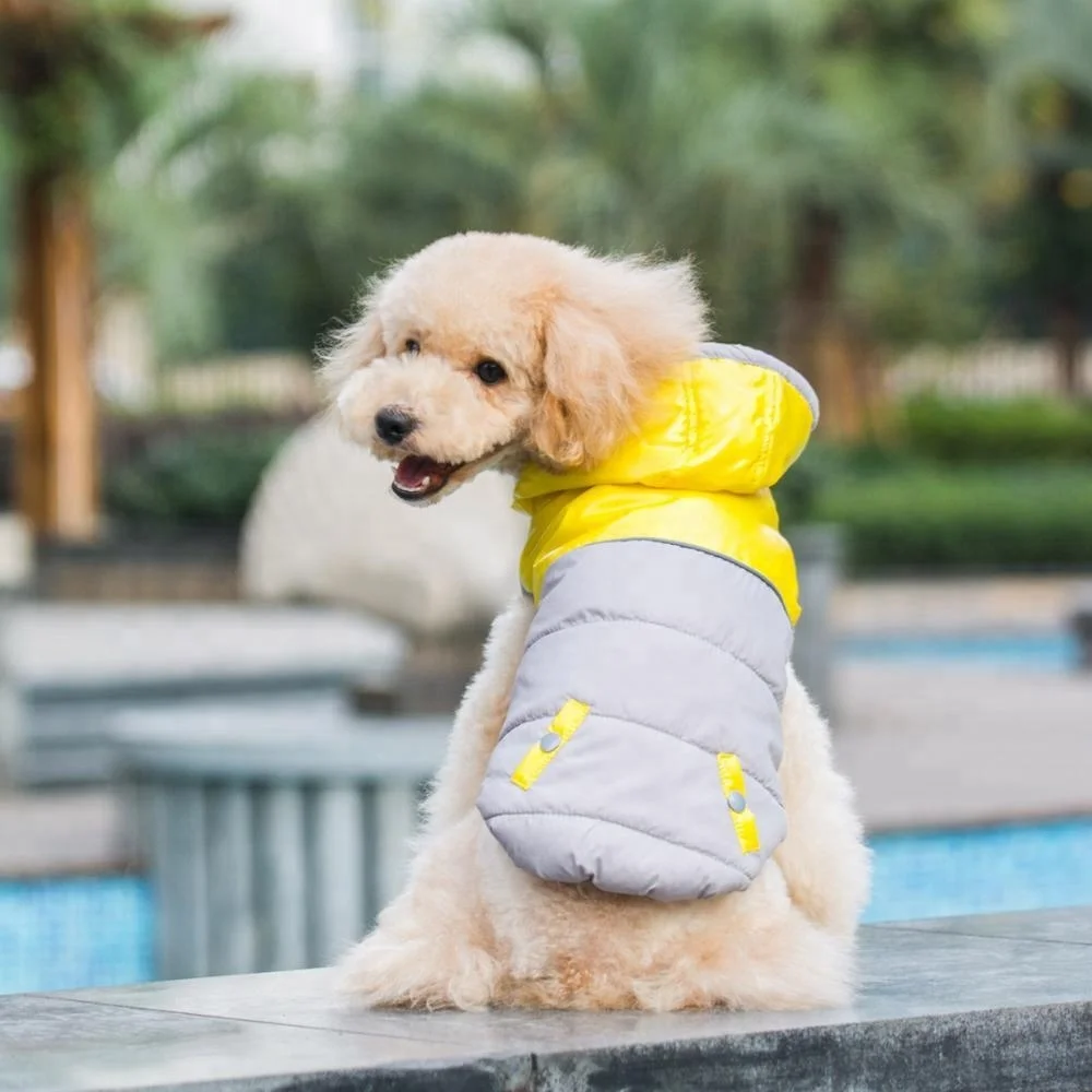 Wholesale Winter Warm Dog Clothes and Pet Apparel Accessories Waterproof Dog Coat with Hood