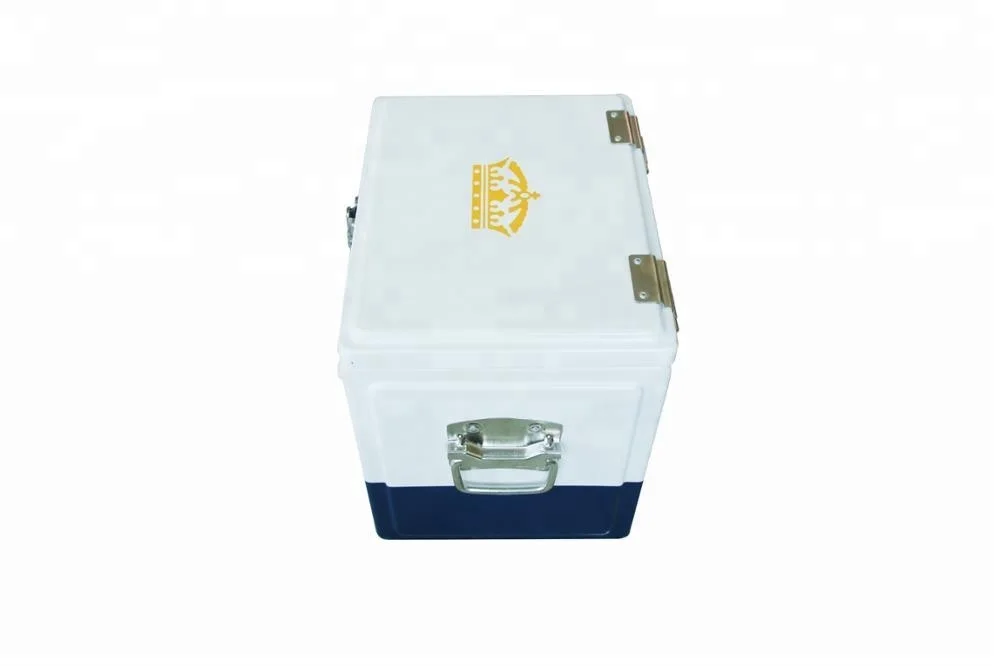 
15L ice cooler box wine cooler outdoor camping metal cooler box Factory Customize Promotion Gift 