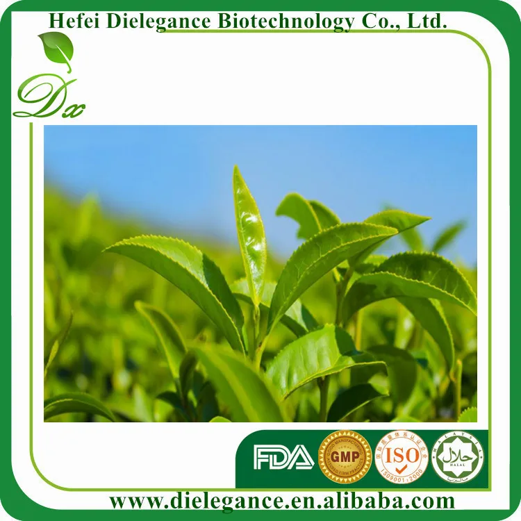 100% Природные Органические Био-Экстракт Зеленого Чая
