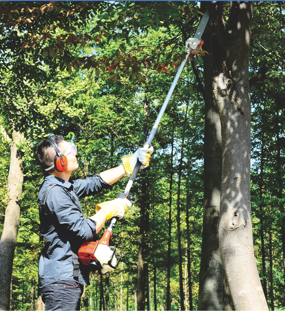 5 in 1 gasoline multi brush cutter chainsaw trimmer grass 52cc