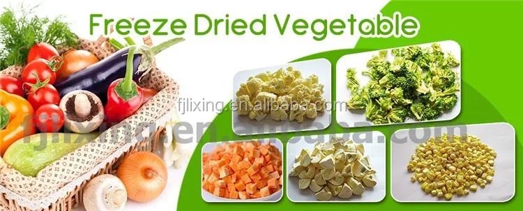 FREE SAMPLE AND HIGH NUTRITION FD PUMPKIN HOT SELLING FOOD