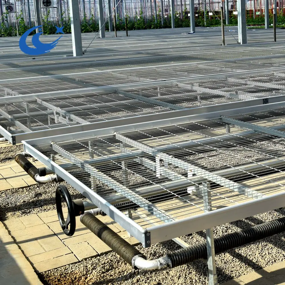Greenhouse Steel Mesh Rolling Bench/Welded Mesh Tables(Max length 30m)