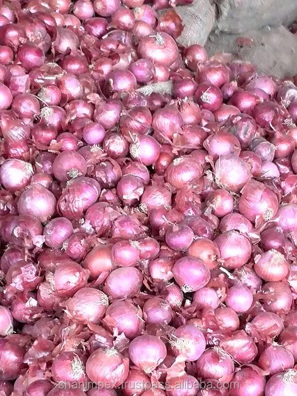 
Fresh Red Onions 