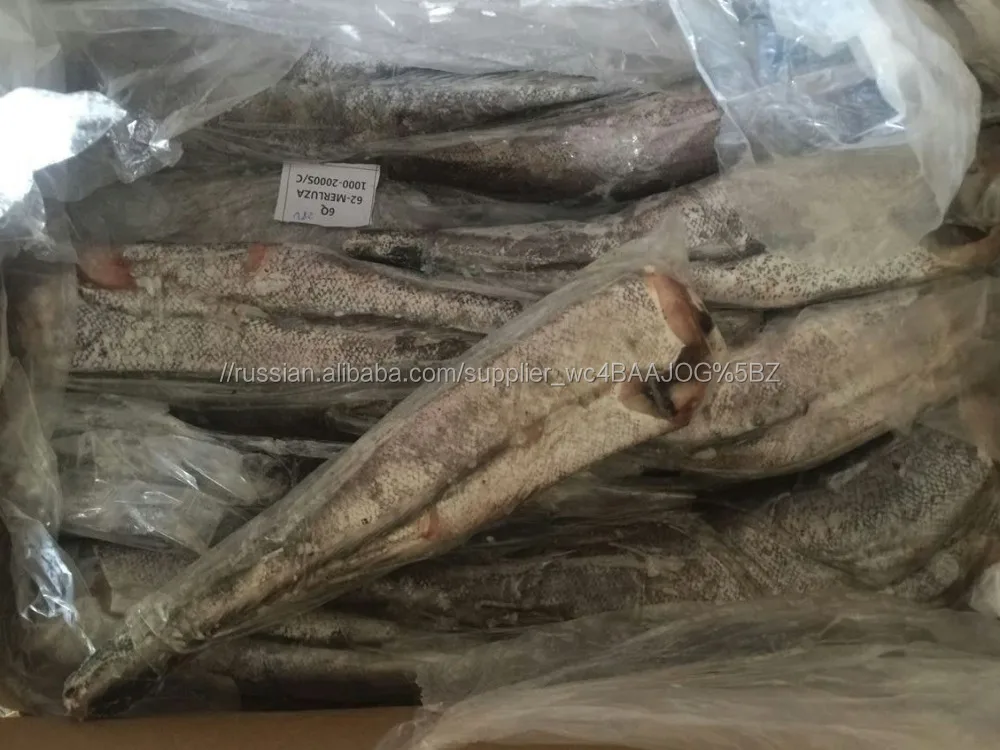 Frozen hake HGT мороженой рыбы для продажи