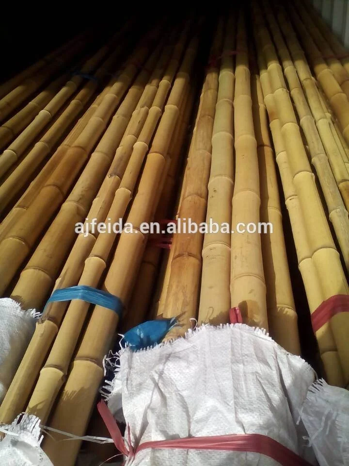 FD Wholesale straight bamboo poles/building construction material