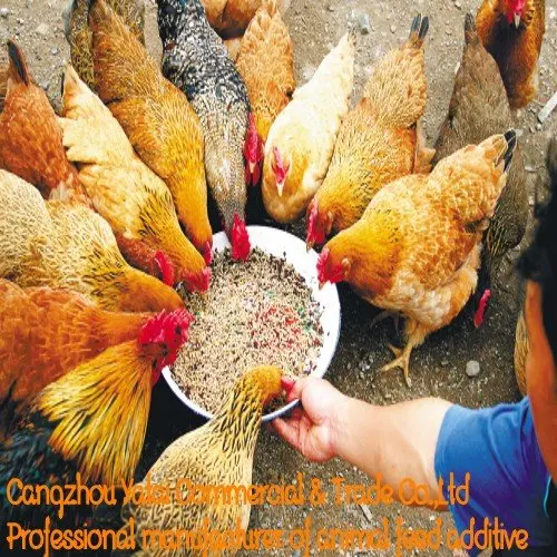 
SOYBEAN MEAL ANIMAL FEED 46% 