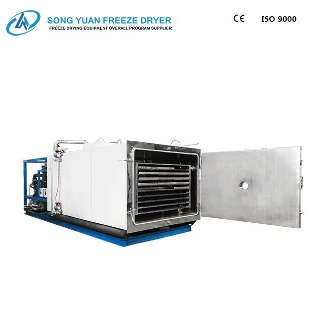 
high quality pharmaceutical freeze dryer with top presser 304/316 Stainless steel GZLY-1 