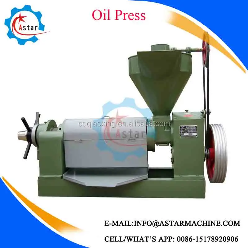 Mini Home Use Peanut Soybean Oil Press Machine