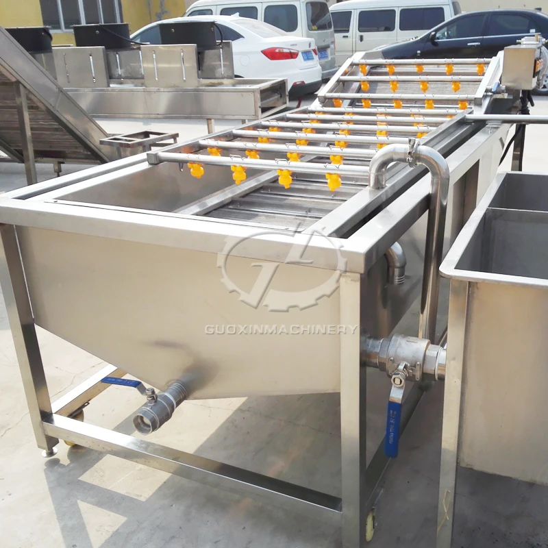 Citrus fruit washing machine / Orange cleaning machine / Citrus fruit washer and cleaner machine
