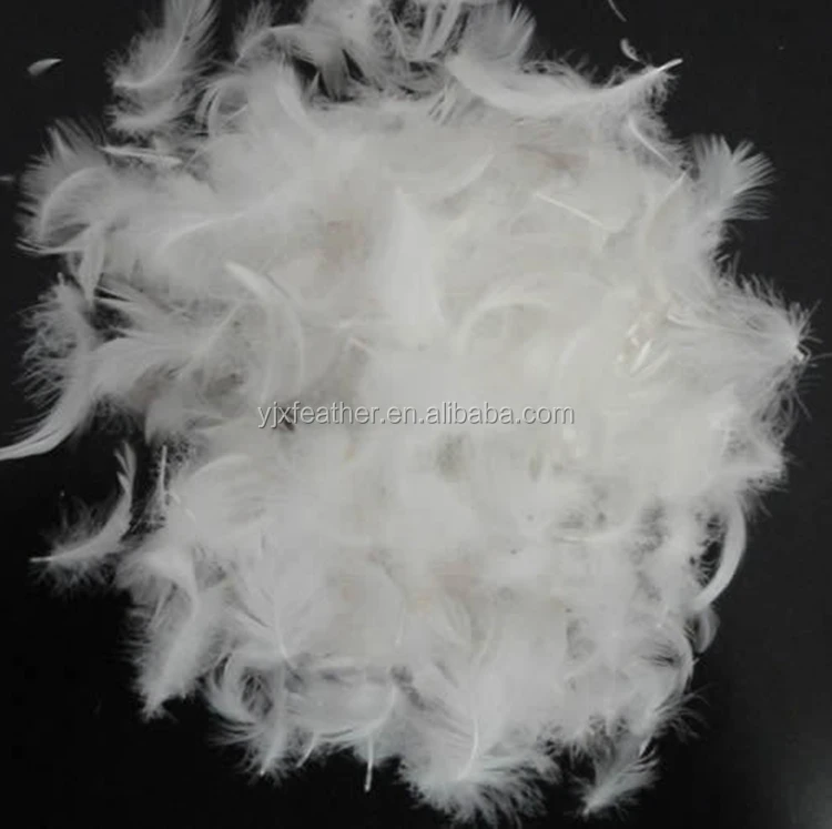 Wholesale white washed White Duck down Feather  Goose feather Duck Feather for Decorations