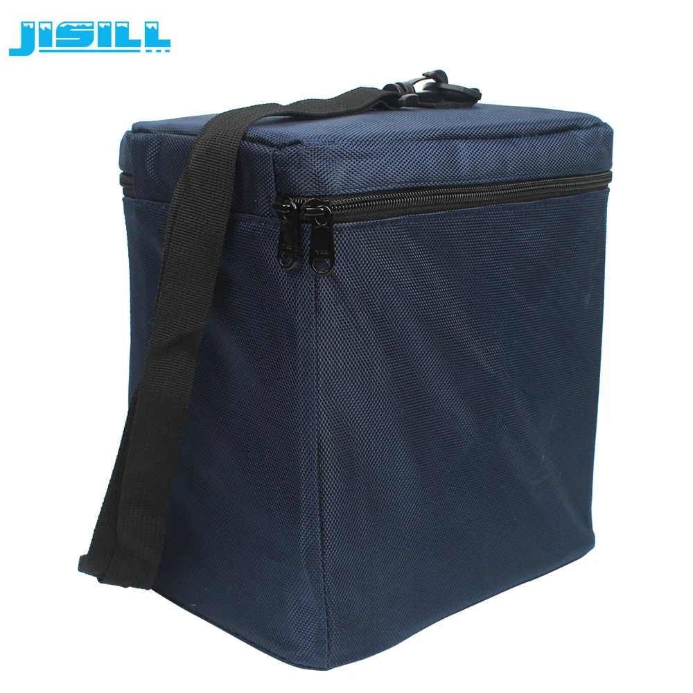 Factory Wholesale Isothermal Smart Vaccine Cooler Bag Thermal PU Foaming/vpu Vacuum Insulation Panel CANS 600D Oxford Cloth 4L