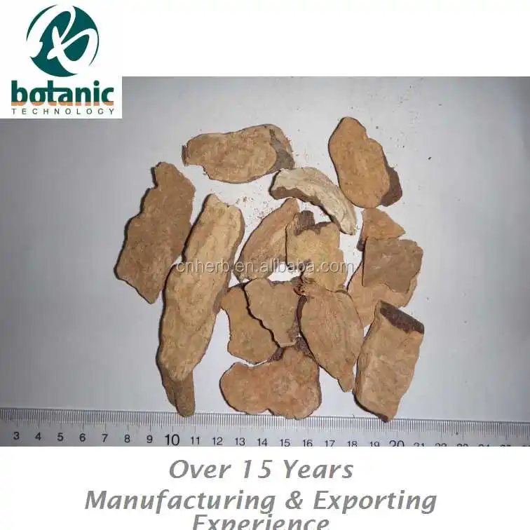 
dried Fo-ti Root (Radix Polygoni Multiflori) 