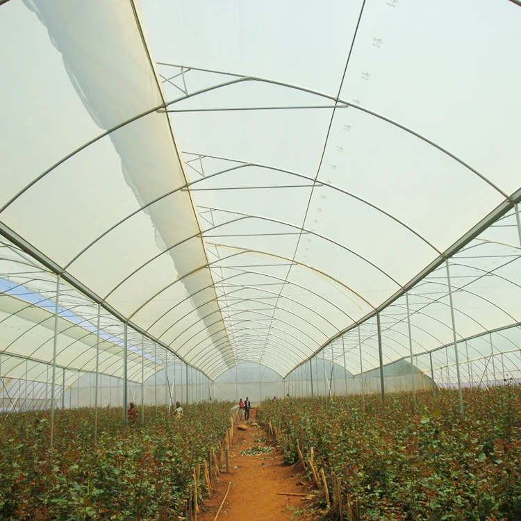 Low Cost Fixed Poly Tunnel Seed Greenhouse For Vegetable
