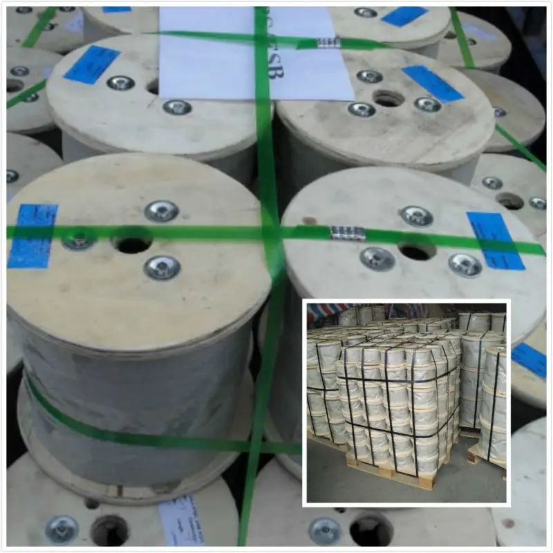 Cheaper 30 ft titanium wire rope 7x19