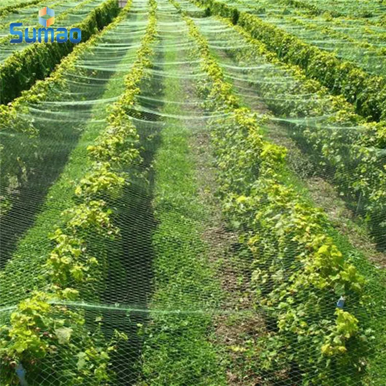 
Best-Selling high strength anti bird net trap to catch bird to protect fruit tree 