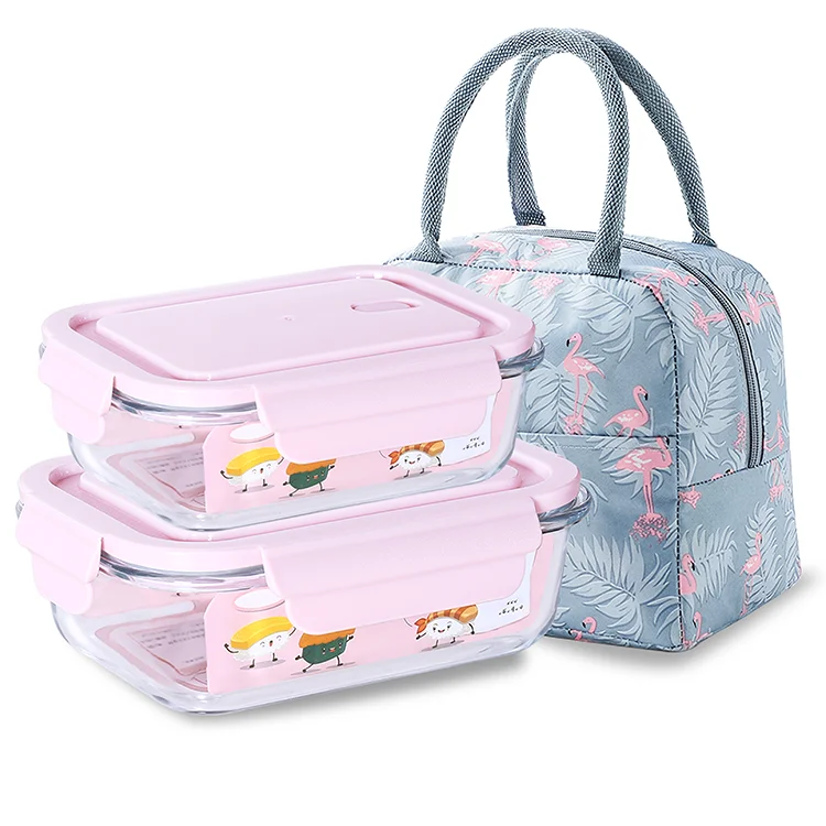 Food Container Glass Lunch Box Set With Bag