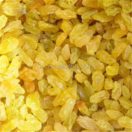 
Best Quality Fruit Products Dried Golden Sweet Raisin 