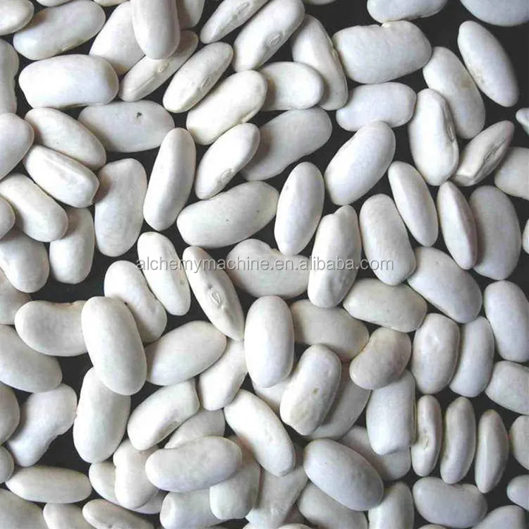 Red Kidney Beans and Red Beans with Wholesale Price