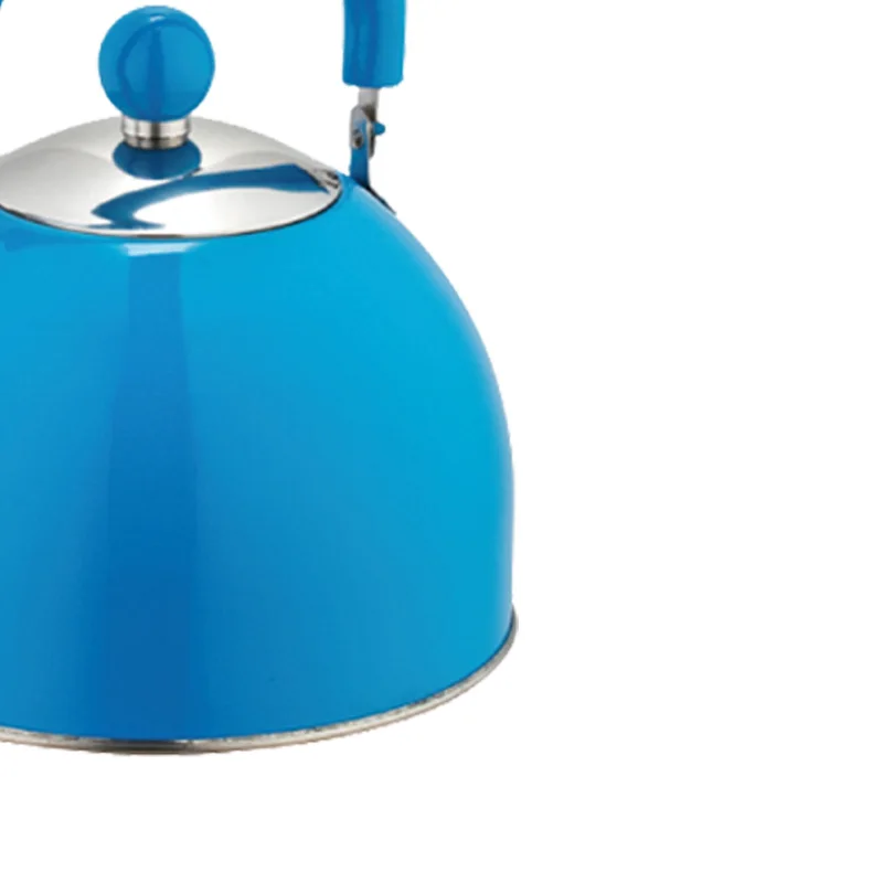 Stainless Steel Whistling Kettle Simple For Household Kitchen Appliances Hemispherical 2.5L Whistle 2L Blue Tea Maker Pot