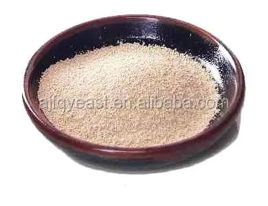 Bakery Instant Dry Yeast