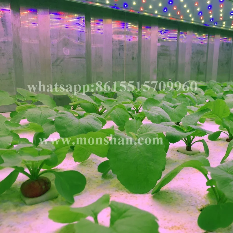 
Shipping Container Hydroponic Farm | Microgreen Growing System For Sale 