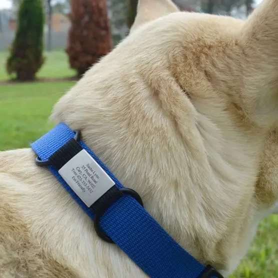 Factory wholesale stainless steel multi design black blank bone cat dog tag with hook pet collar tags accessories