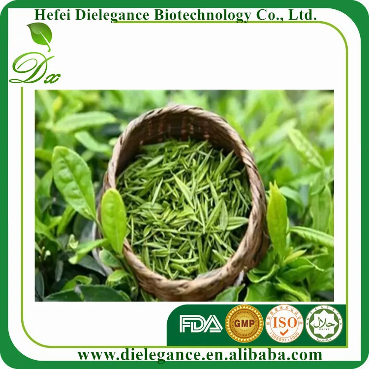  100% Природные Органические Био-Экстракт Зеленого Чая