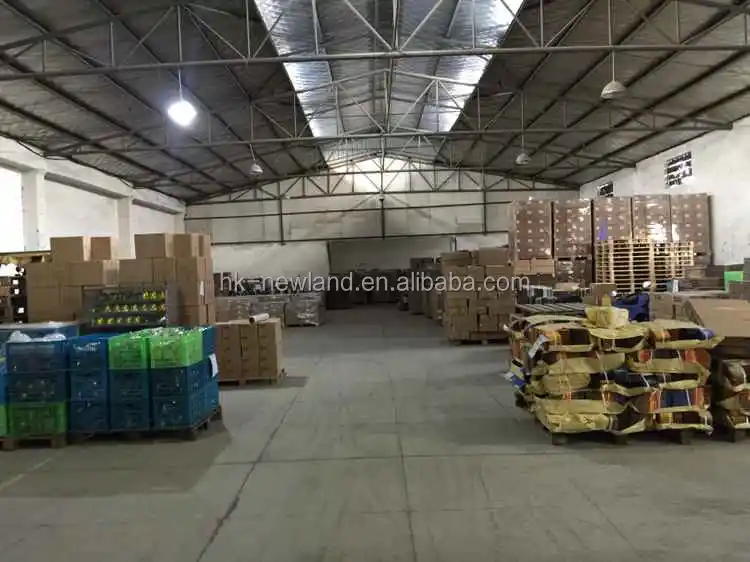 Инфракрасные Нагревательные Лампы, 250 Вт, 200 в, оптовая продажа, Par38, Инфракрасная тепловая лампа, лампочка, par38