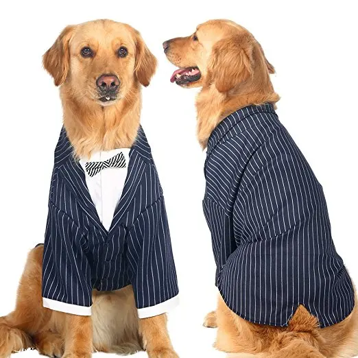 Formal Large Dog Tuxedo Navy Gentleman Suit for Golden Retriever Big Dog Clothes