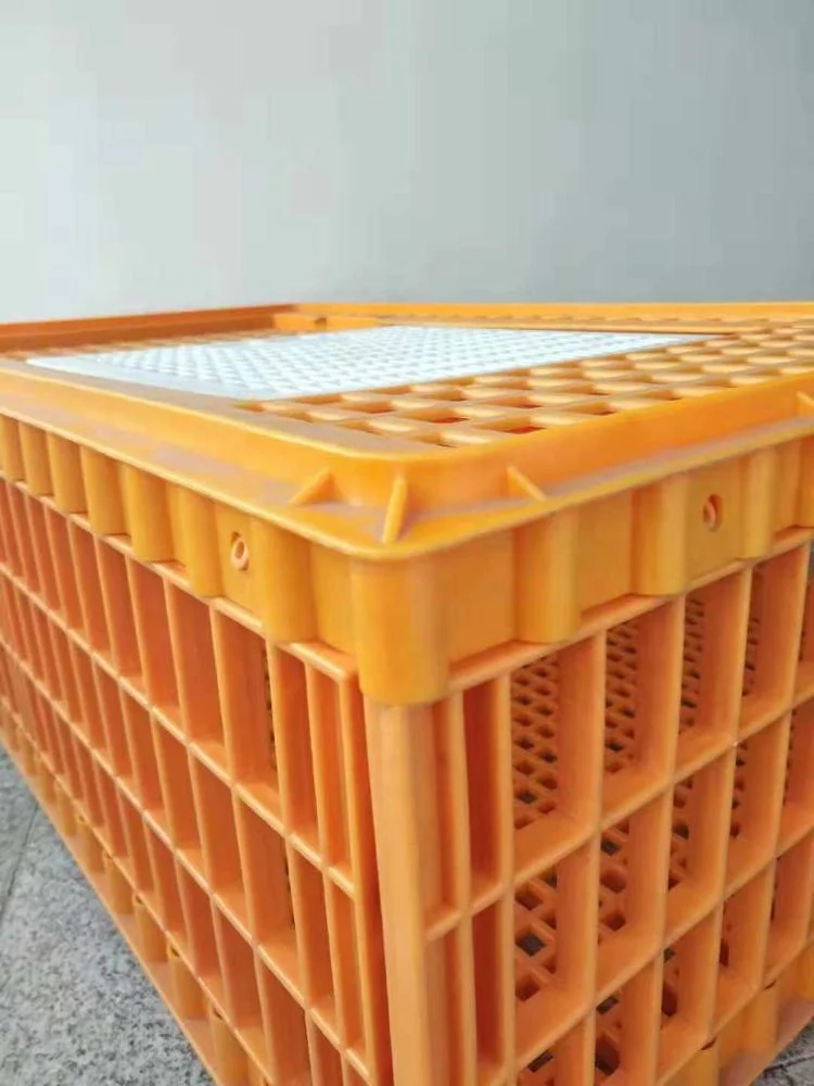 Large size poultry transport crate plastic chicken crate