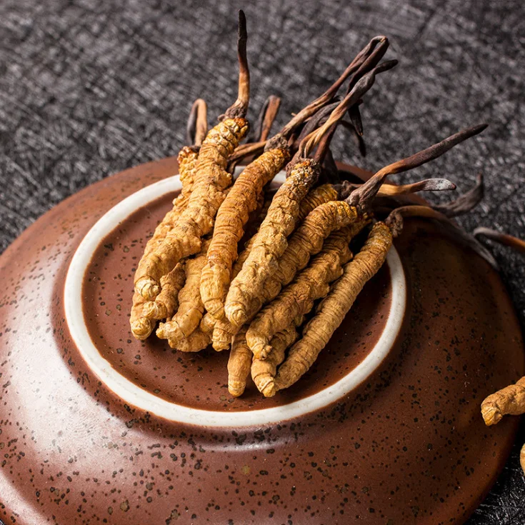 
dong chong xia cao AA grade medicine Cordyceps sinensis / caterpillar fungus 