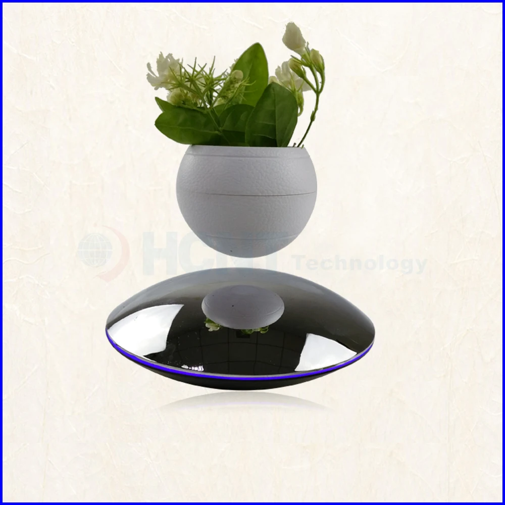 Парящий бонсай воздуха tree крытый с зелеными растениями