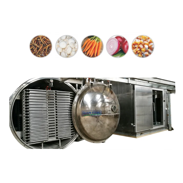 Freeze dried okra microwave vacuum freezing drying machine commercial dehydrator